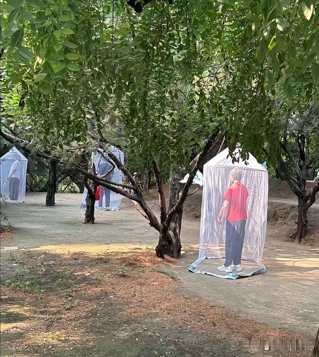 晨练中的大妈大爷，太惬意了[赞]