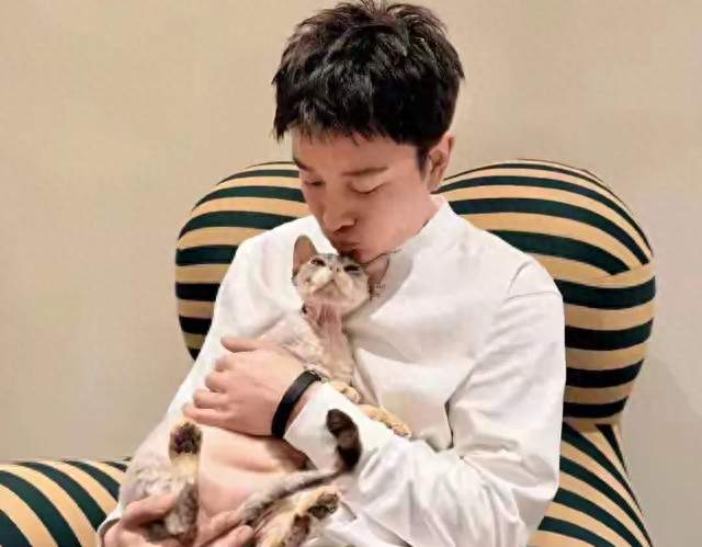 凭空多了个儿子? 贾乃亮晒猫幽默辟谣