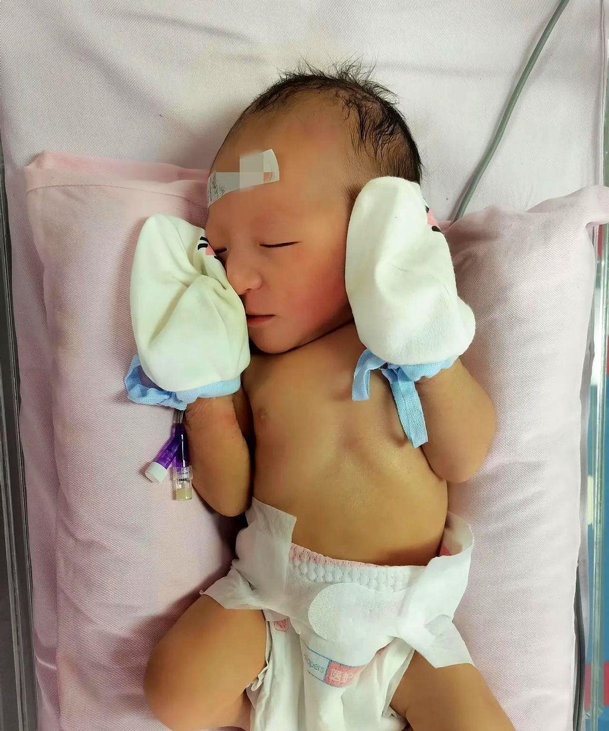 我侄女28岁一直单着，上个月突然上海回来，挺着大肚子回来，直接给全村人来了个“打