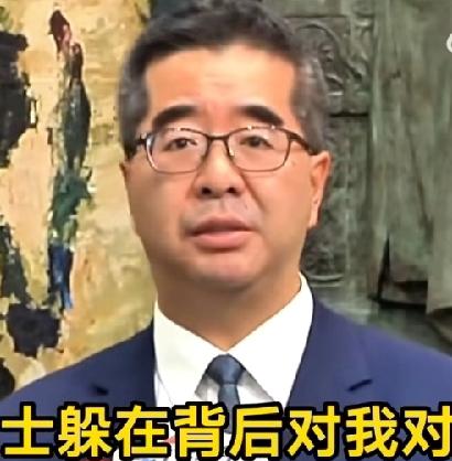 郑丽文访陆随行6人，个个都是亲陆派、爱国派！1、萧旭岑，51岁，马英九幕僚，每