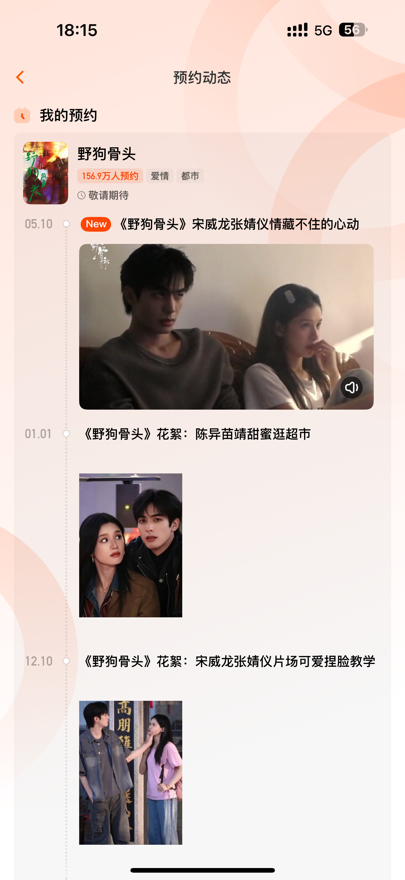 2026我会一直等这个野狗骨头宋威龙张婧仪两个现偶的神