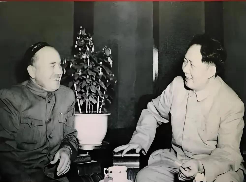 屋内，光线柔和地洒在毛主席与赛福鼎身上。二人对面而坐，脸上都挂着亲切的微笑，气氛