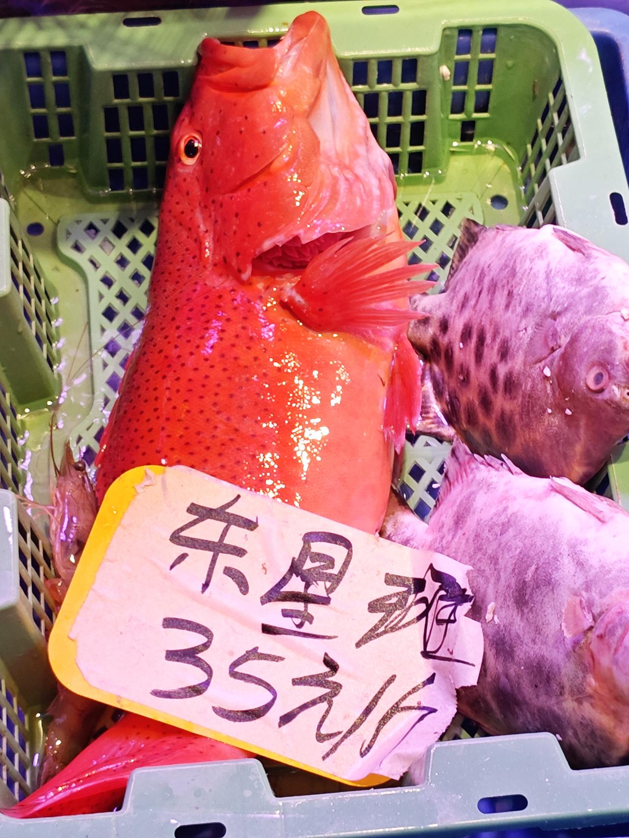 东星斑35/斤，刚死，原价78，能接受吗？养殖的东星斑，正名豹纹鳃棘鲈，这