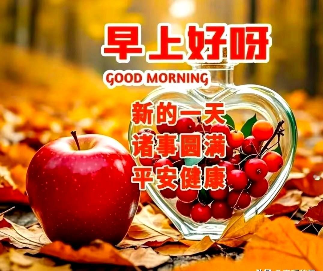 冬日雪花飘飘，暖心问候送到。收到贴心问声好。悄悄滑进我心房，暖意慢慢在发酵