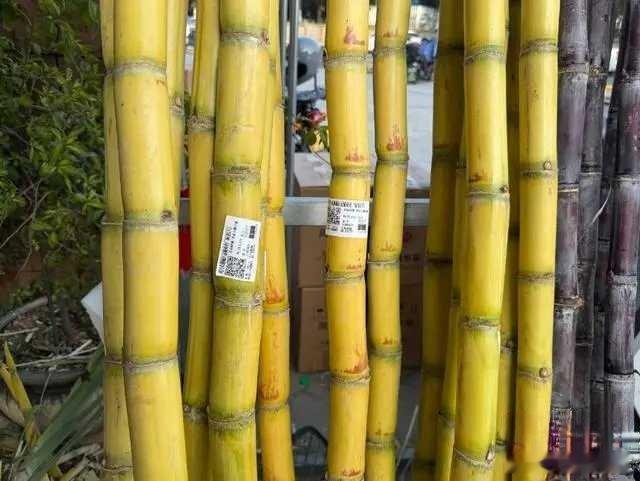 百果园回应一根甘蔗卖87元百果园一根甘蔗87元，市民吐槽太贵，更让他郁闷的是，