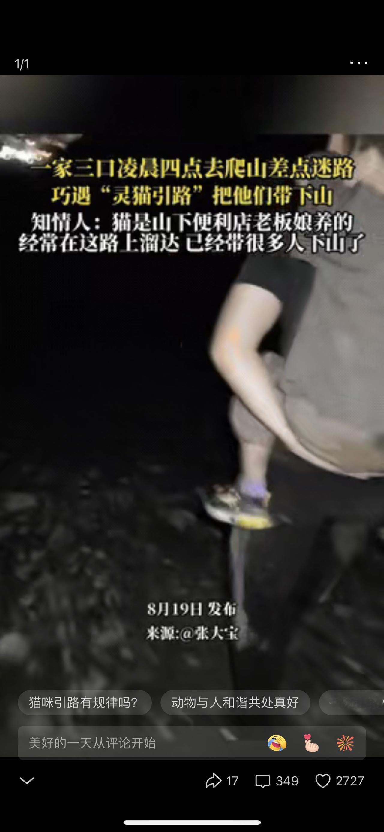 凌晨四点一家三口去爬山，在山上迷路了，这时一家人有点慌，正忐忑时，遇到了一只小猫