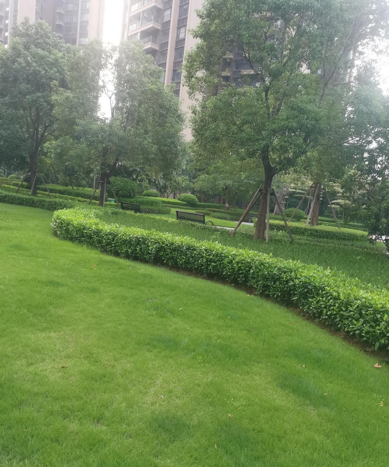 表哥用一辈子的痛苦，来奉劝大家，娶老婆或者嫁人，一定要了解对方的家庭有没有遗传病