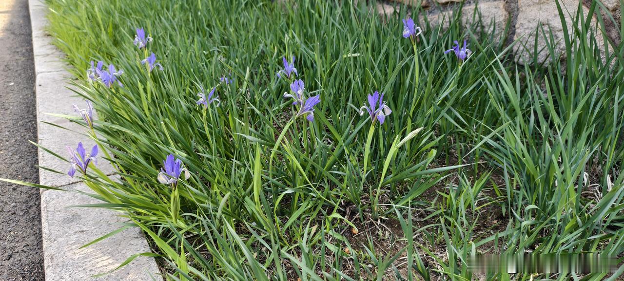 别入戏太深了，你那点情绪老板连看都懒得看昨晚加班，看见实习生小陈对着电脑屏幕