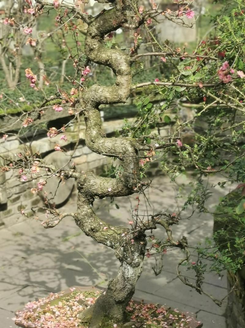 晒出你的本地生活