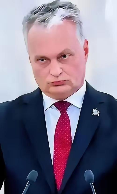 立陶宛总统瑙塞达说了两个意思，一是“台湾代表处”改为“台北代表处”立陶宛做不了主