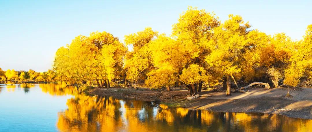 女人过了50岁，还显年轻，一般具有以下特点：1、体态轻盈不臃肿。2、头发茂密