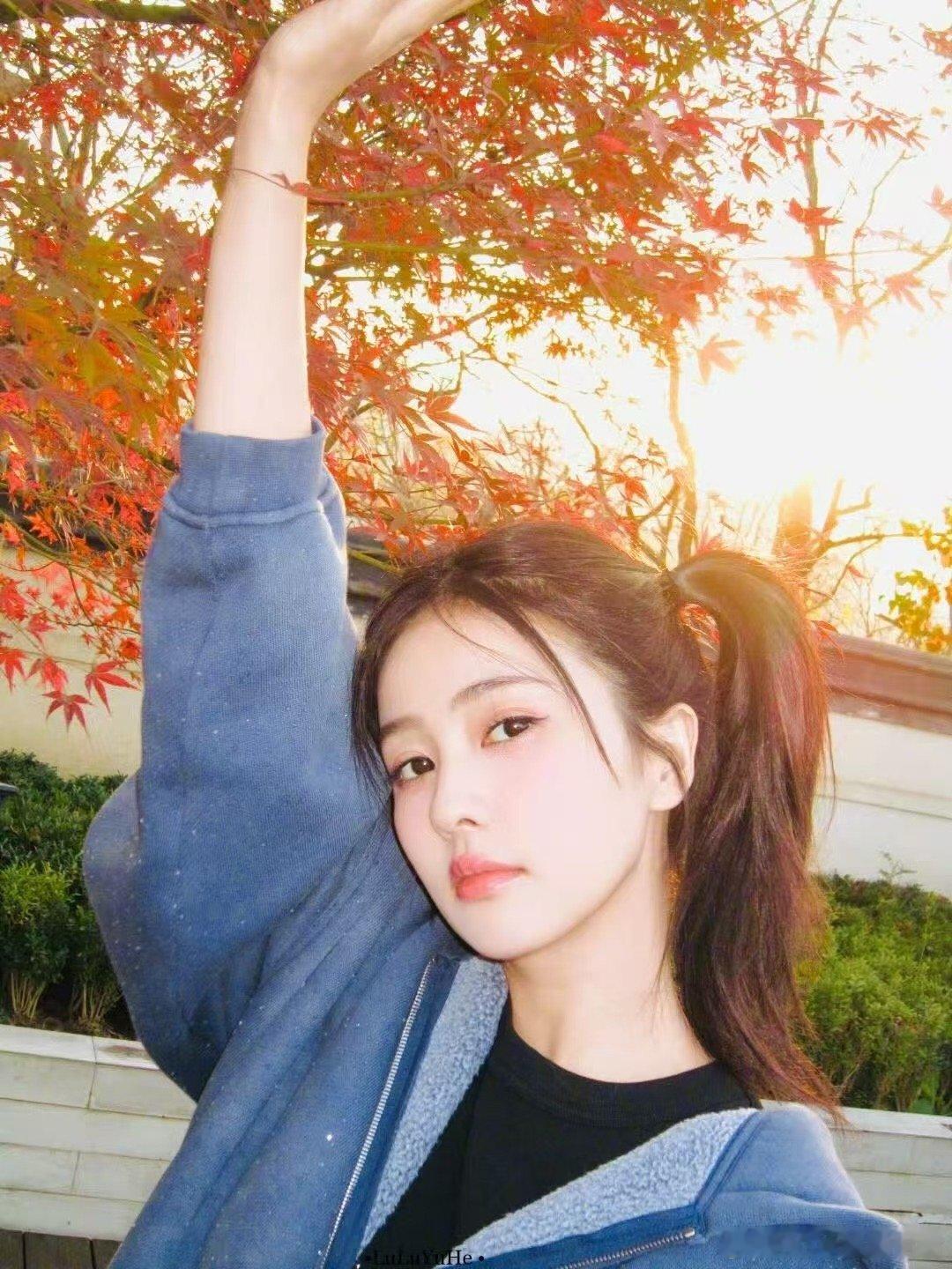 白鹿狐狸塑自带灵光buff白鹿看似朱迪实则尼克破案了！白鹿的终极动物塑是自带高