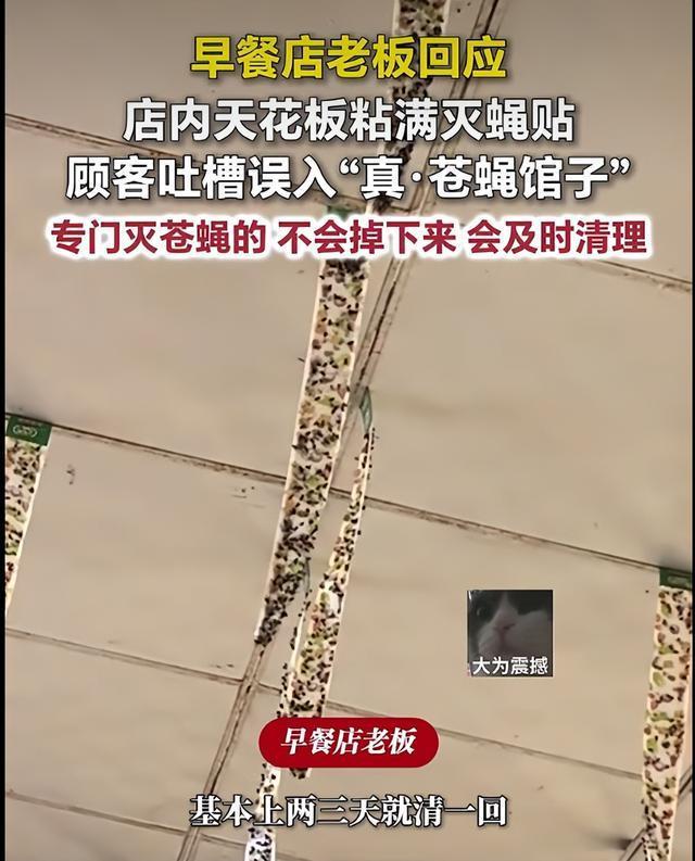 开封早餐店天花板挂满粘满苍蝇的灭蝇贴，食客当场看吐！河南开封一顾客吃早餐时，抬