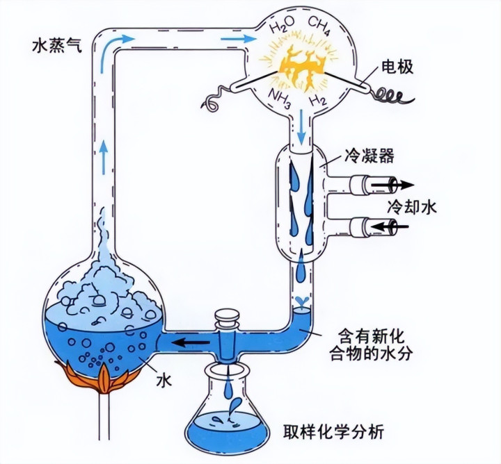 人类科技已经如此发达了, 为什么连细胞都造不出来