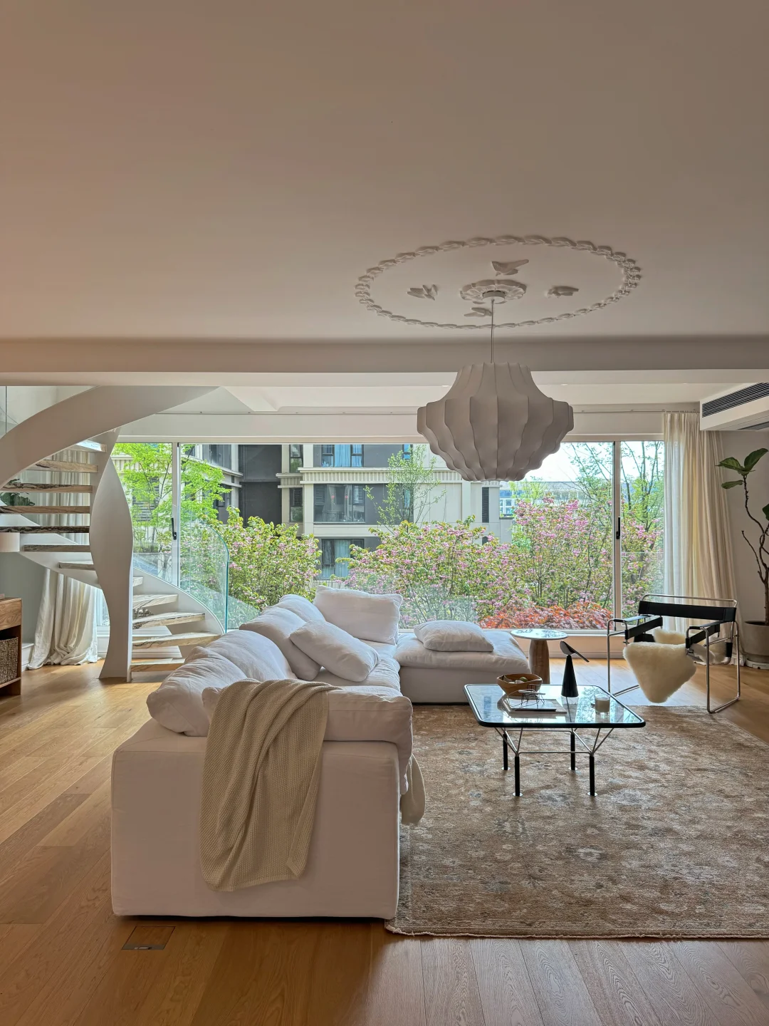 感谢邻居挑剩的二楼，被我在家就能看樱花！🌸