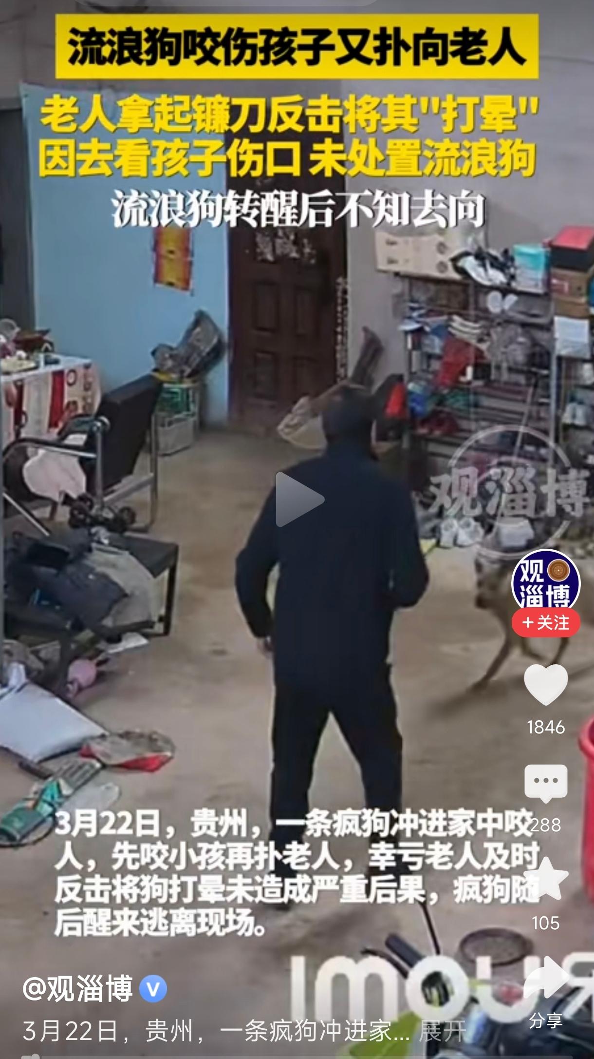 疯狗冲进家中咬人被老人打晕这起事件发生在贵州，3月22日，一条