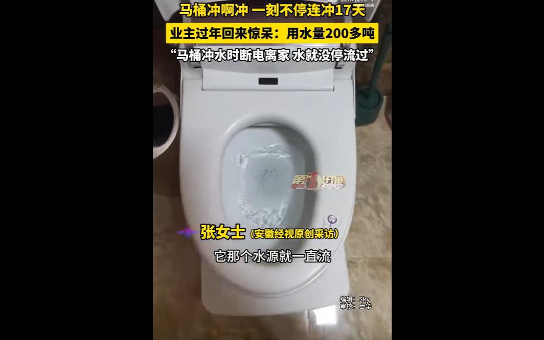近日，河南洛阳张女士春节离家17天，因智能马桶冲水中途直接拔电，阀门未复位导