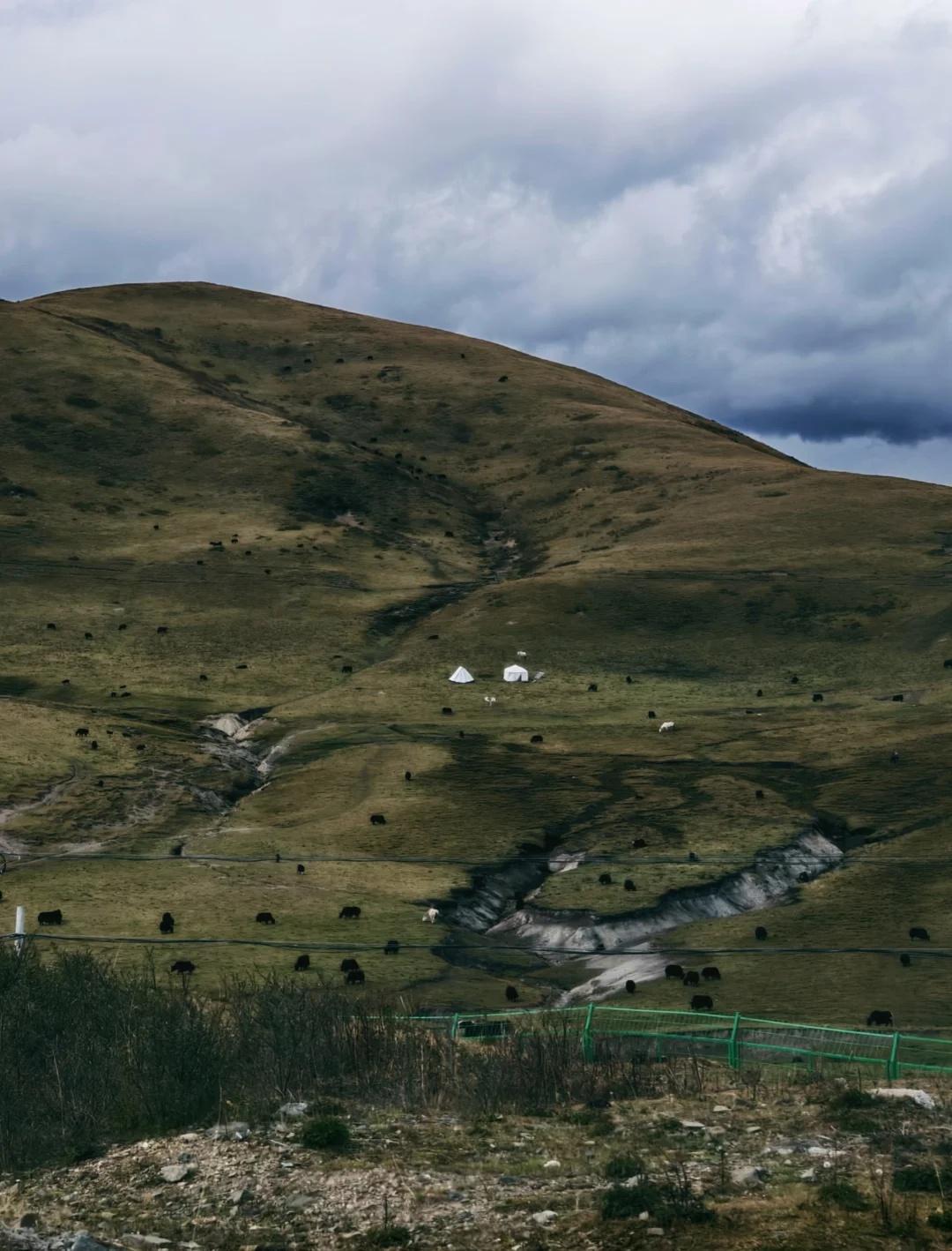 在26岁生日那天，一人自驾莲宝叶则感谢一路风景与我作伴莲宝叶则童话公路