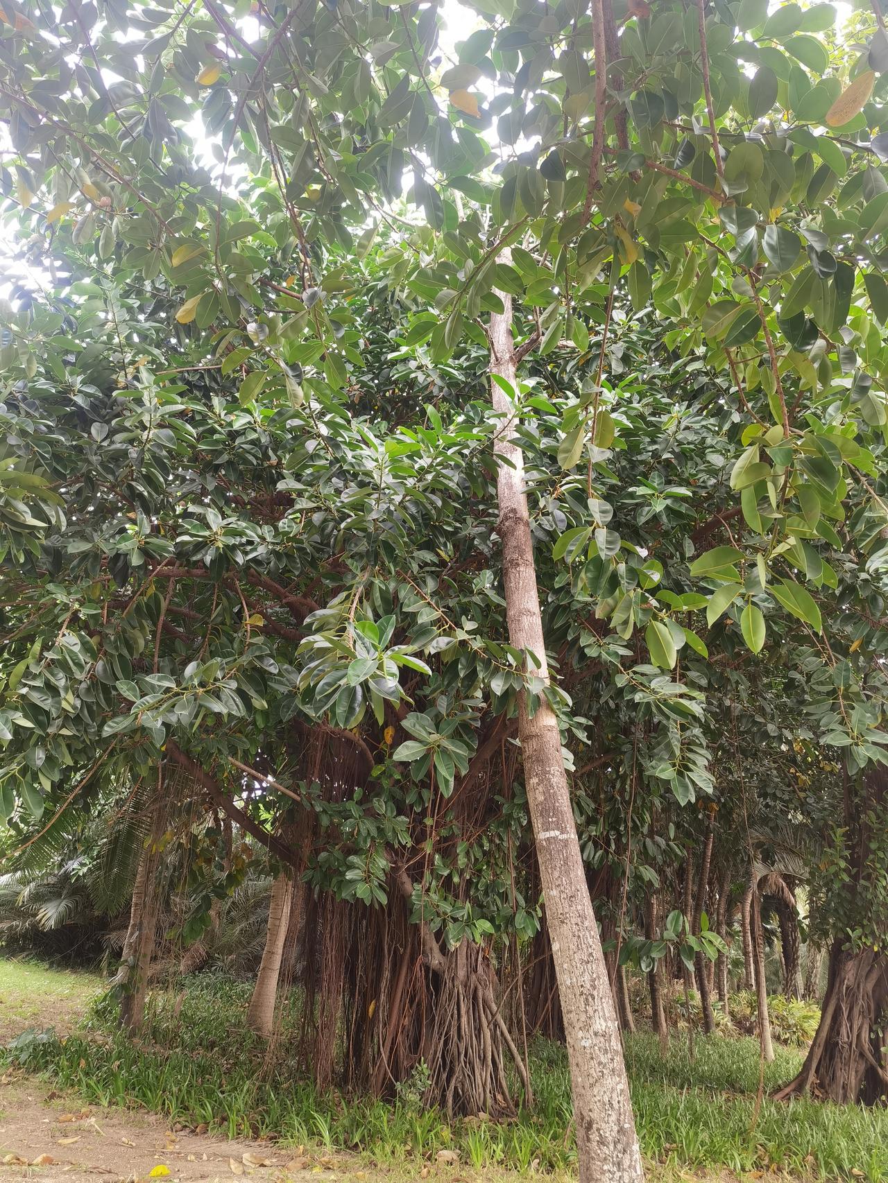 人生最大的幸事是什么？我认为是把自己的孩子养成自己的依靠。尤其是独生子女。