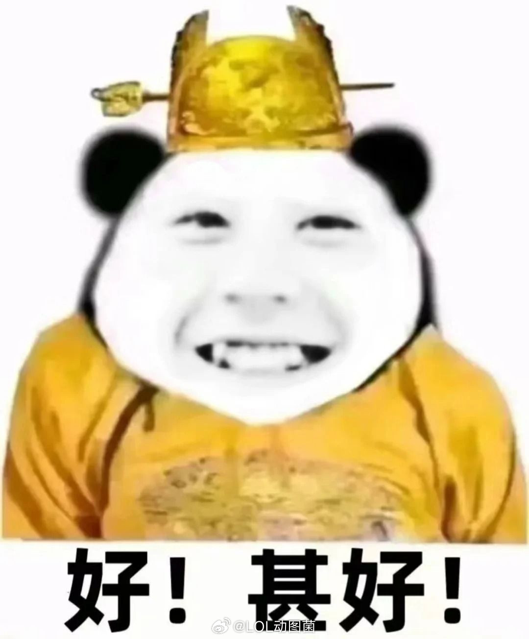 我也想跟无畏一起去广州吃美食！无畏这算是被广州粉丝一票一票投过去的，这也算是双向