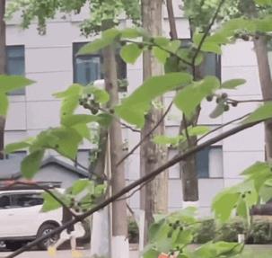 5月6日，王楚钦上训，很早就出门了，今天没有穿黄色外套，手里拿的是机场穿的外套
