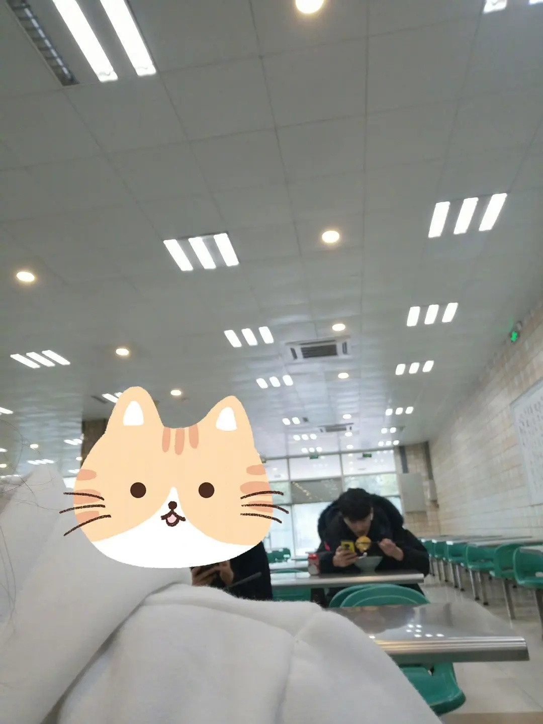 张凌赫原生脸真的挺一般的说实话