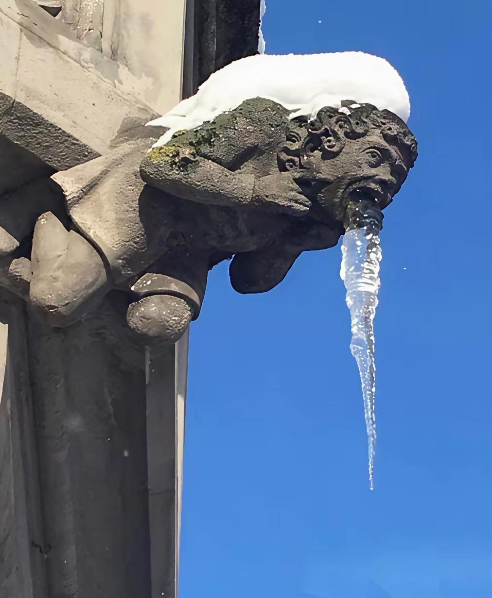 我先啥也不说！你点开图片看看，包你开心大笑！你猜，这货看到啥了，咋馋成这个样子呢