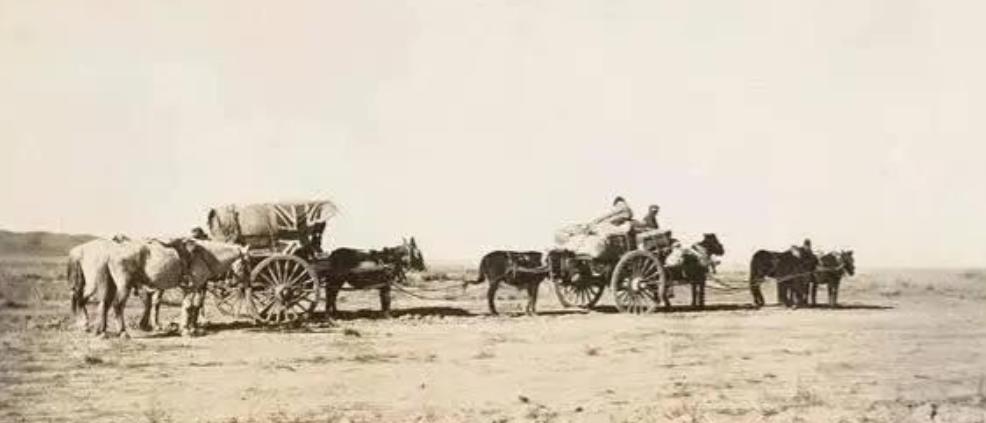 1862年发生的陕甘回之乱，导致西北地区的人口锐减了2000万，而第一次世界大战