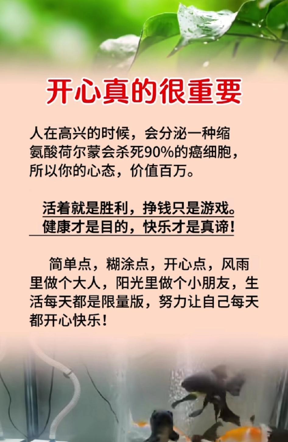 人活着，别太在意物质，你就容易开心了。做人简简单单就好，心简单，人生才能容易幸福