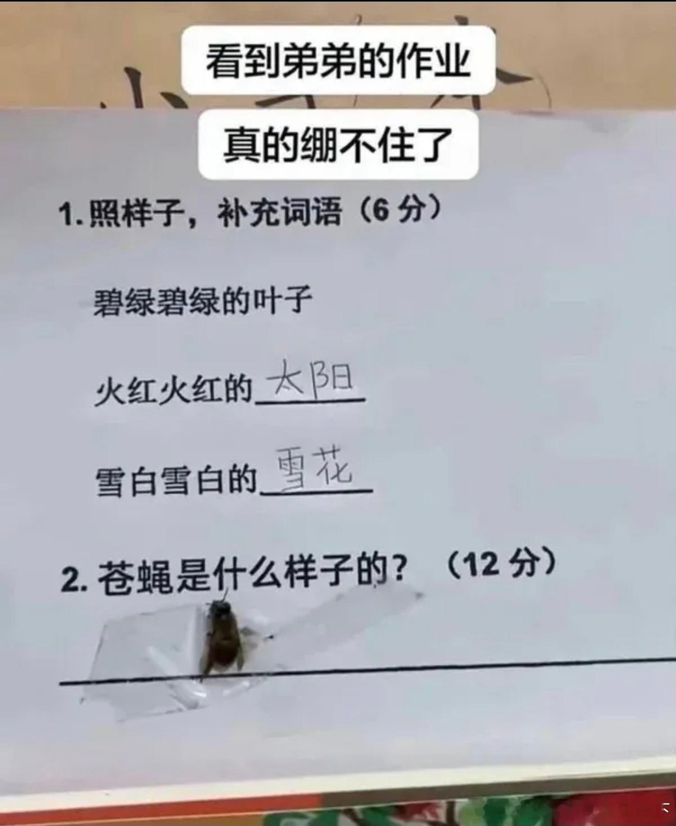 6526作业为什么会布置这个？