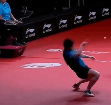 樊振东身上有着太多可怕的点了：身体的天赋，自律（骨子里的自我要求），赛场上的心理