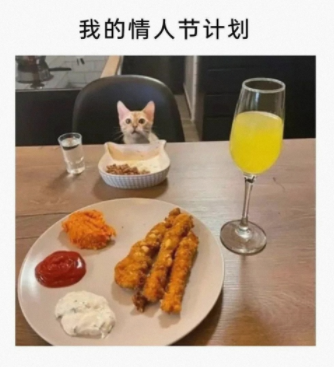 我的情人节计划