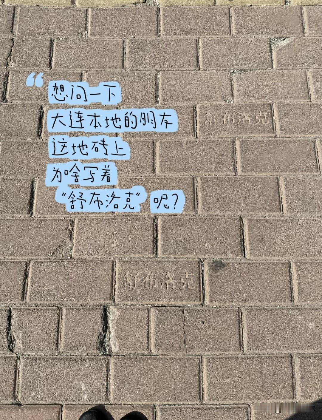 大连街边地砖藏冷知识！上面印着舒布洛克是什么？🔥路过大连街头，发现人行道地