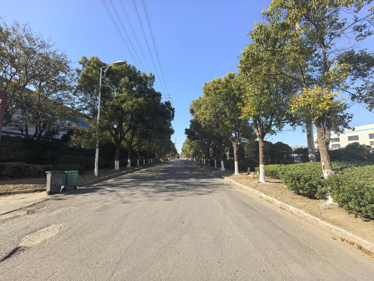 一片片树叶虽小，却供应着一棵树生长所需的营养，一树的叶子在炎炎夏日为路人庇荫。到