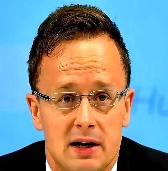 匈牙利外长一句话，估计整个欧洲都得愣一下神。欧洲正面临经济十字路口，一句直击要