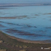 别再让鄱阳湖.哭啦.赶快滴调水补补吧......【澎湃新闻：我国最大淡水湖鄱