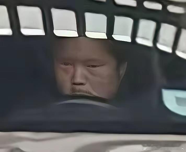 小区的这位业主，真的不是一般人！看这面相，就是不走寻常路的主，放着机动车道不走，