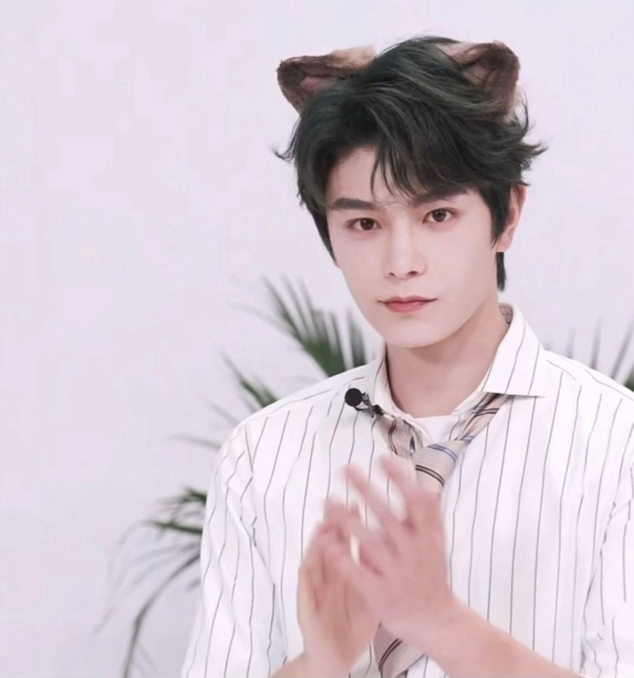 申请加入丁禹兮的喵门这是我家小咪，可以给我看看你们家小咪🐱吗​​​
