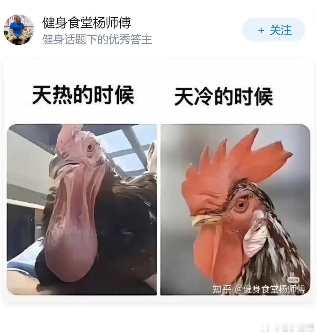 有哪些关于人体的冷知识？