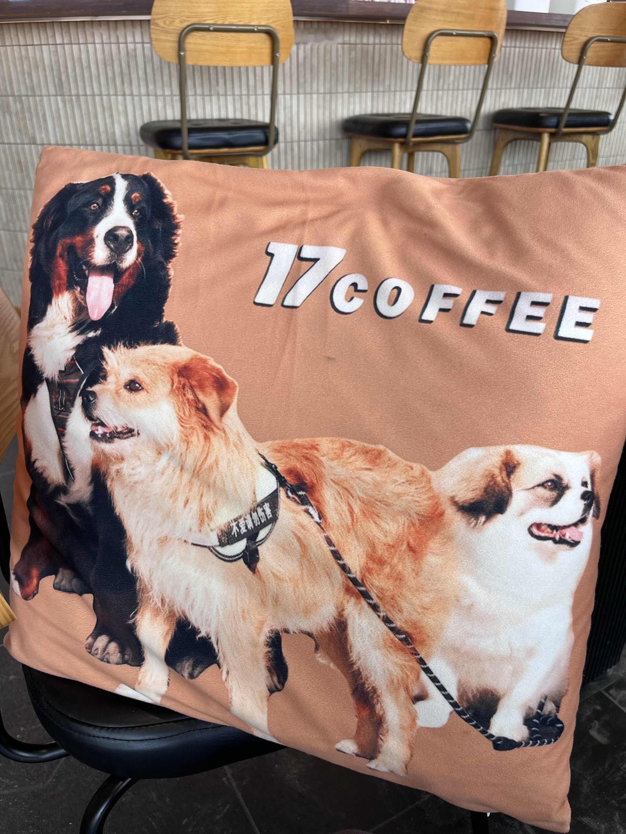 烟台莱山，终于来到身价5万的伯恩山犬啾啾主人的咖啡店了，没有见到心心念念的啾啾和
