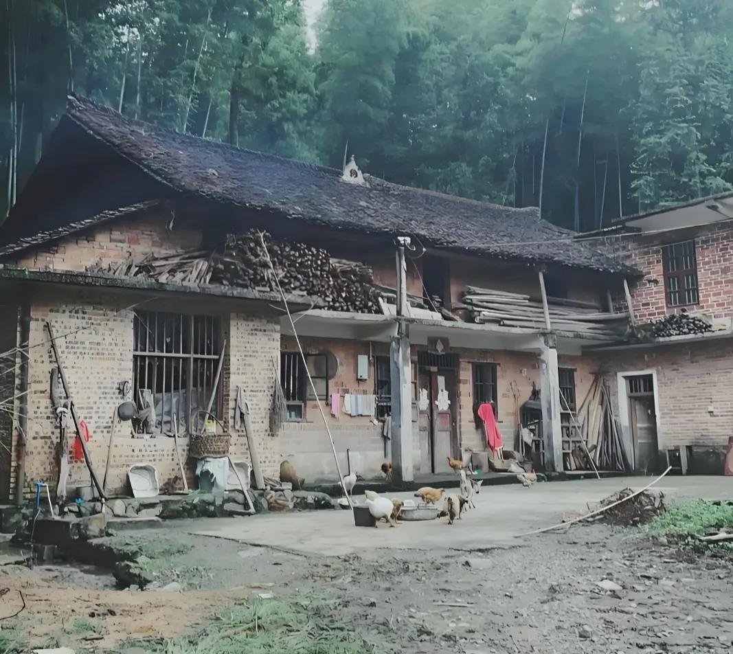 有宅基地的人注意了！抓紧办这三件事，别等过了才后悔！一、第一件，抓紧确权