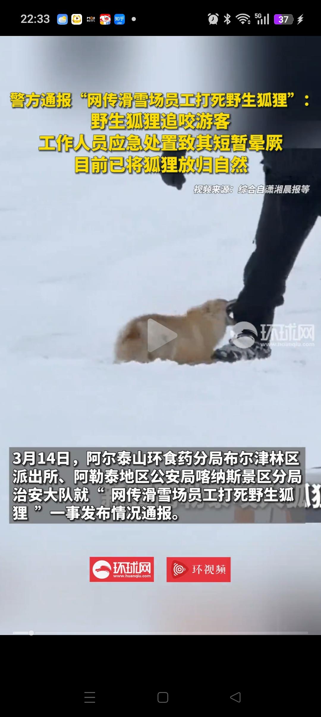 滑雪场员工打野生狐狸一事，我发现一个重要细节！那就是这只狐狸咬的只是游客的滑