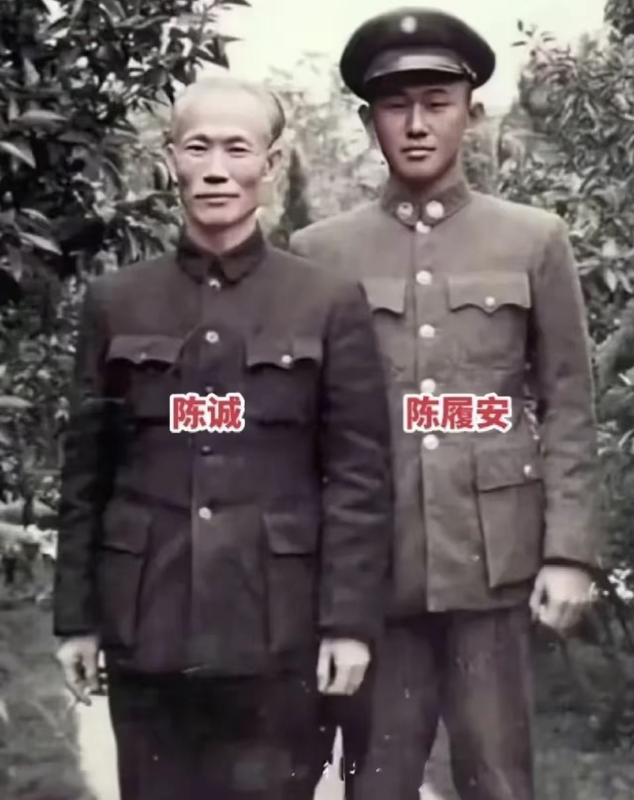 很多人以为60年代的台湾蒋家一手遮天，殊不知有个家族的地位连蒋经国也要礼让三分，