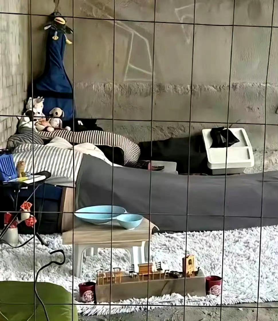 住桥洞都能住这么精致，以前一定是一个有钱人吧！​​​
