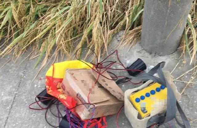 湖北襄，阳兰某等4人在村头坟地旁林地铺电网电野兔，天黑后设备供电，兰某在车内看管