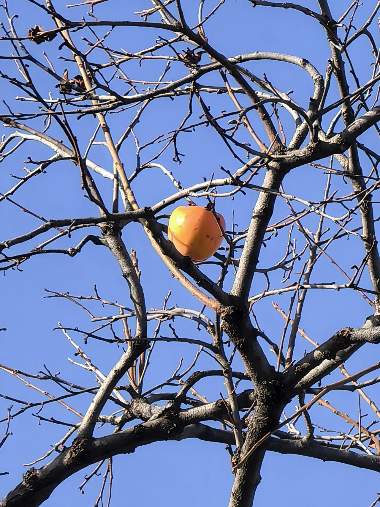 日本对来自中国的小额商品征10%消费税，对中国电商有哪些影响？日本取消“1万