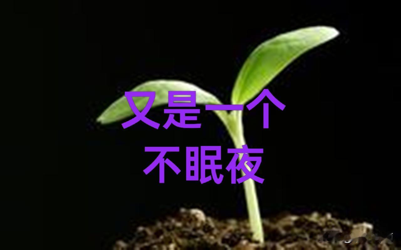 又是一个不眠夜，想着他们的痛苦矛盾，我内心焦虑煎熬辗转反侧。心理学家武志红说