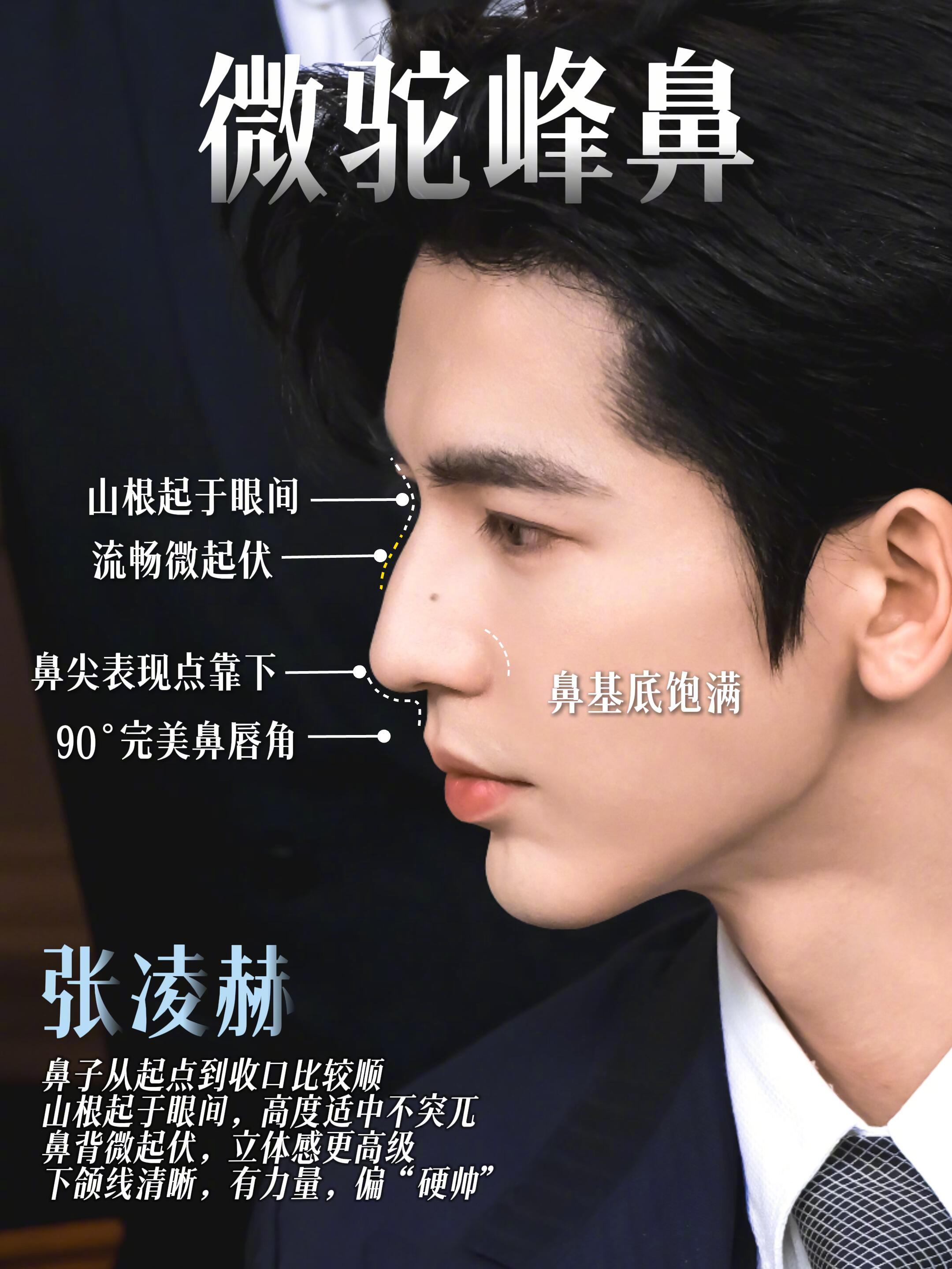 内娱“驼峰鼻”帅哥大赏~你更喜欢哪种风格？