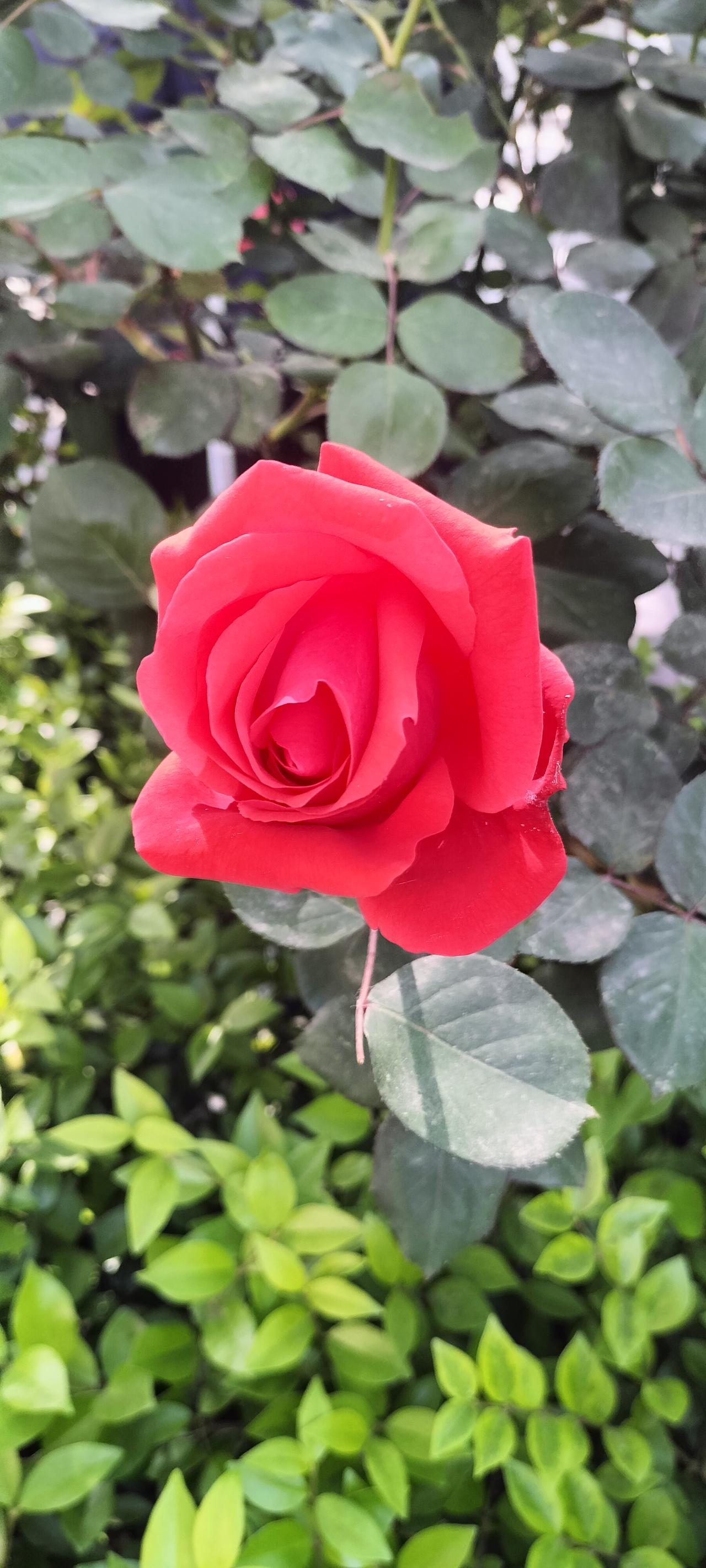 人到中年，怎样拒绝别人借钱？说一个万能借口。我有一个老表，我姨的儿子，开公司的，