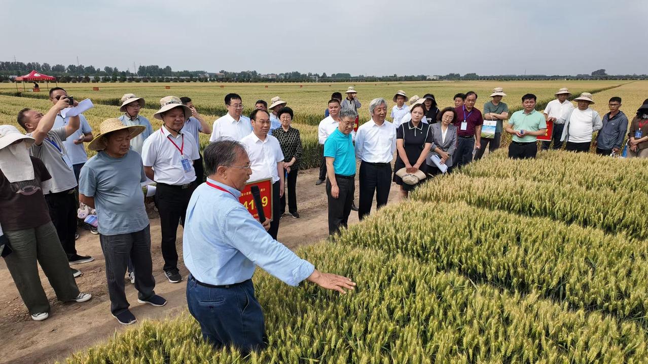 很多人都说河南农村的出路是什么？其实答案很简单，我给大家算一笔账！我们以一亩地为